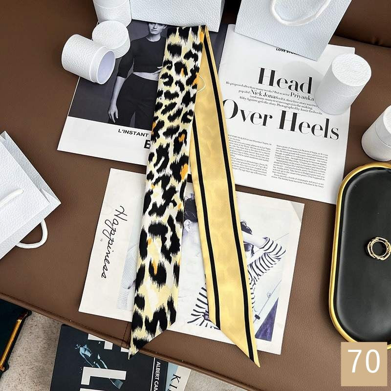 Dior Montaigne Mitzah Silk Scarf