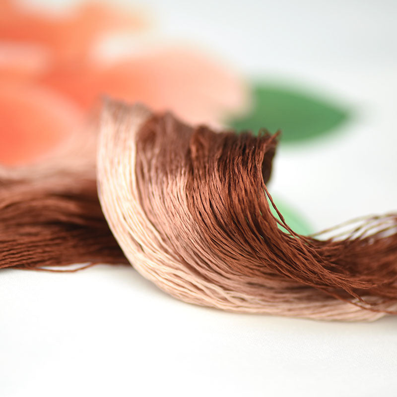 100% Mulberry Silk Embroidery Thread Skeins, Brown, Coffee Colors, 400meters