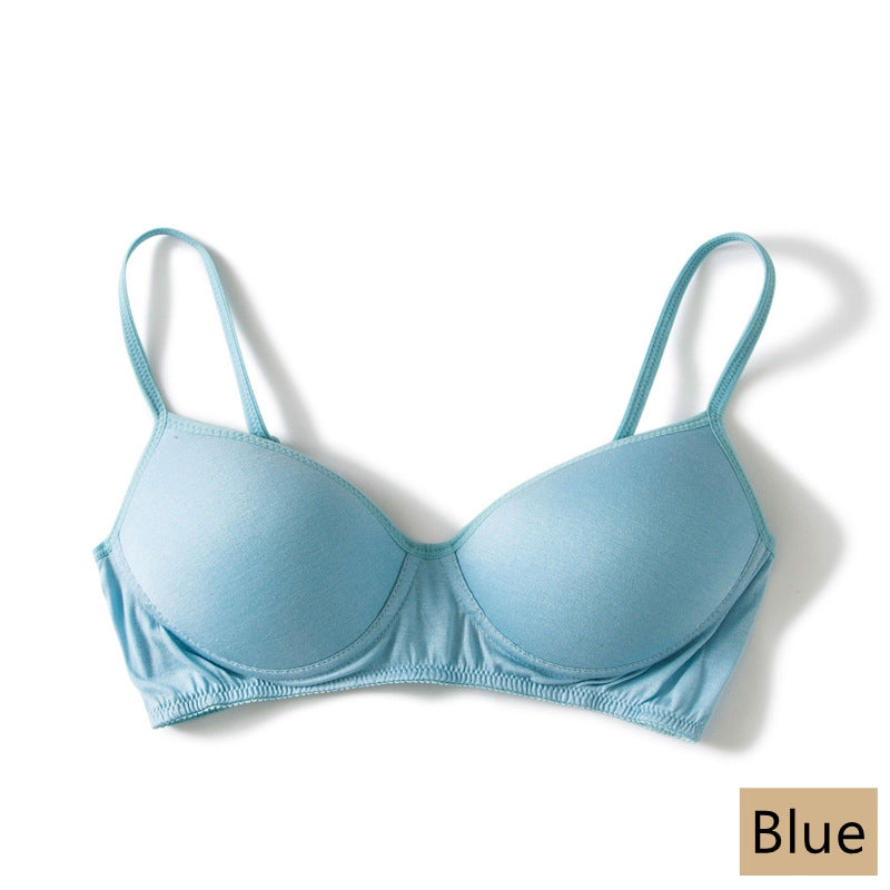 Silk Women Lingerie Bra, 11 Colors