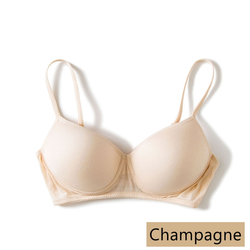 Silk Women Lingerie Bra, 11 Colors