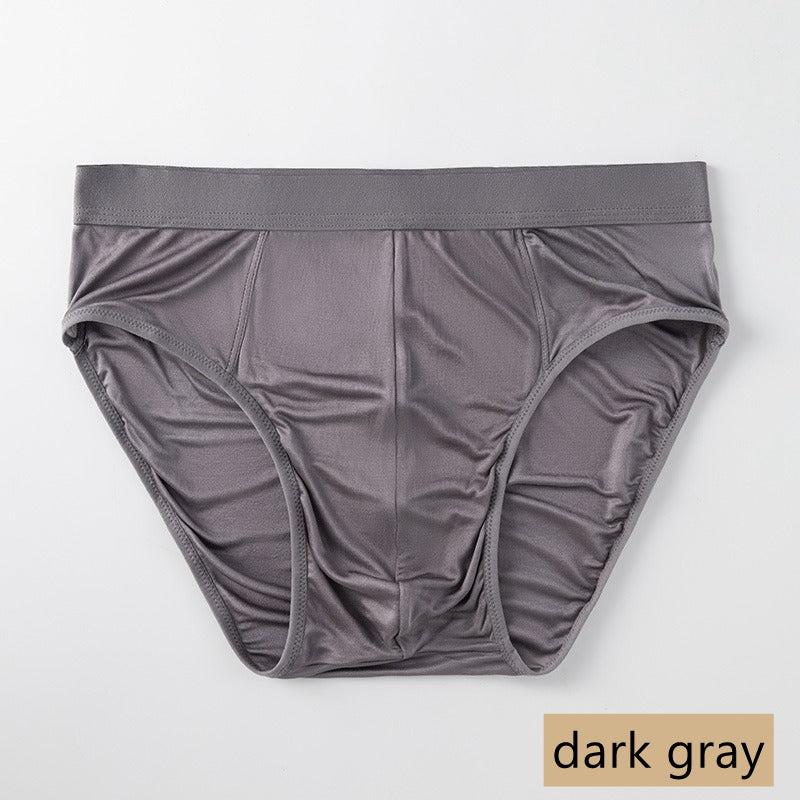 Men's 100% Silk Brief